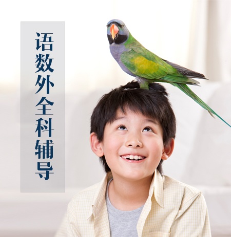 ¶꼶